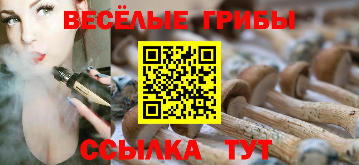 Галлюциногенные грибы мухоморы  как найти наркотики  Сосновоборск  Вход с VPN  Псилоцибиновые грибы мицелий 